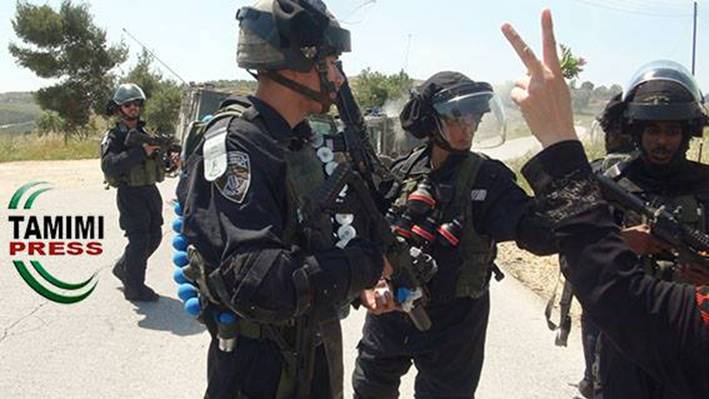 Israeli forces equipped with tear gas grenades and foam bullets in Nabi Saleh